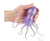 Sparkle Squeeze Octopus