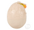Hatch and Grow Chick