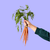 Carrot Bunch Seed Pop