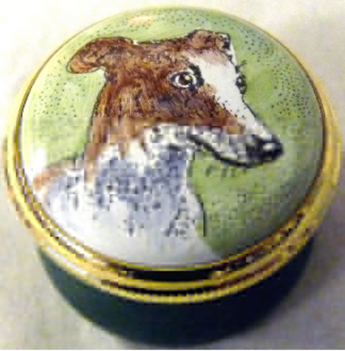 Staffordshire Whippet