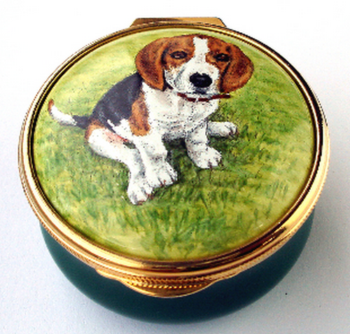 Staffordshire Beagle