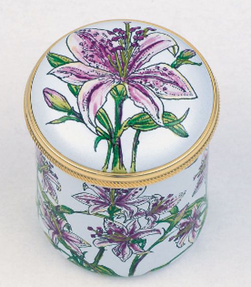 Staffordshire Lilium