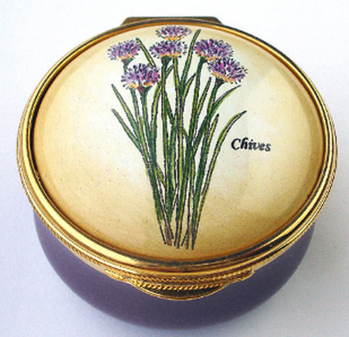 Staffordshire Chives