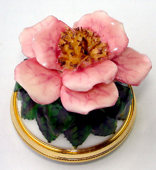 Staffordshire Wild Rose Bonbonniére