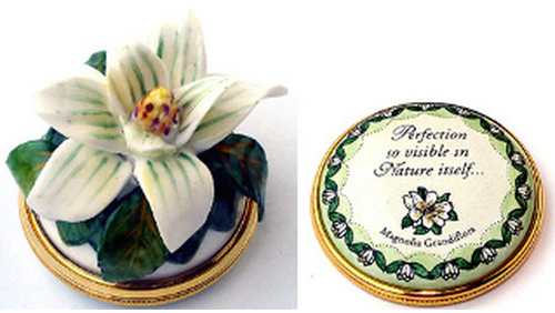 Staffordshire Magnolia Bonbonniére