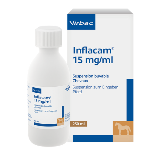Inflacam 15 mg/ml Meloxicam Suspension für Pferde (250 ml)