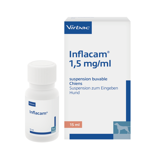 Inflacam 1,5 mg/ml Meloxicam Suspension für Hunde (15 ml)