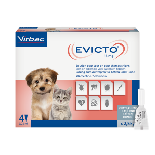 Evicto 15 mg Selamectin für Katzen und Hunde bis 2,5 kg (4 Pipetten)