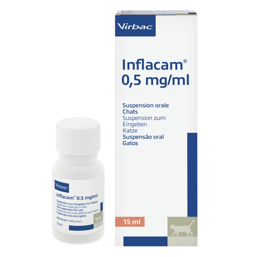 Inflacam 0,5 mg/ml Meloxicam Suspension für Katzen (15 ml)