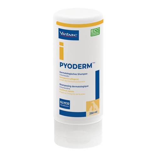 Pyoderm Shampoo für Hunde und Katzen (250 ml) MHD 31.07.2027