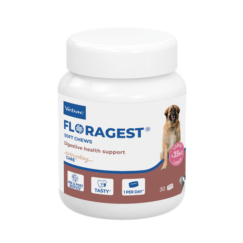 Floragest L für Hunde >35 kg (30 Soft Chews)