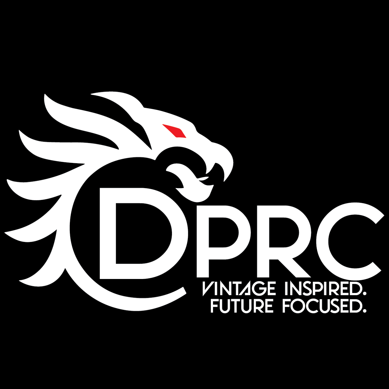 DRAGONPUNCH RC