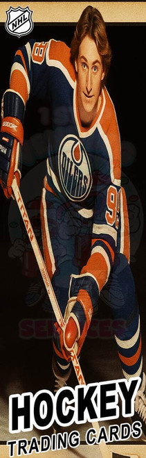 NHL Hockey Trading Cards Box of 300 in Folders