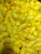 Assorted Colors Empty Easter Eggs & Vending Eggs You Choose Qty