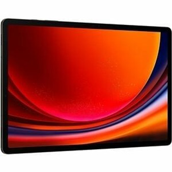 Galaxy Tab S9+ 12+256GB Gray