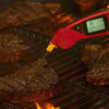 Cooper-Atkins 94100-01 KwikSwitch Steak Genius Digital Folding Thermocouple Kit, Type K