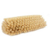 Carlisle 40422EC25 Sparta 12" Floor Scrub Brush Head, End Bristles, Tan