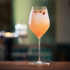Cardinal Chef & Sommelier Mylla All-Purpose Wine Glass