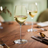 Cardinal Chef & Sommelier Mylla All-Purpose Wine Glass