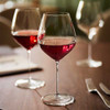 Cardinal Chef & Sommelier Mylla All-Purpose Wine Glass