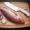 Mundial W3804-7GE 3800 Series 7" Santoku Knife, Hollow Edge, White