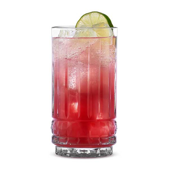 Libbey 1009734 Whitney 14 oz. Highball Glass, Clear