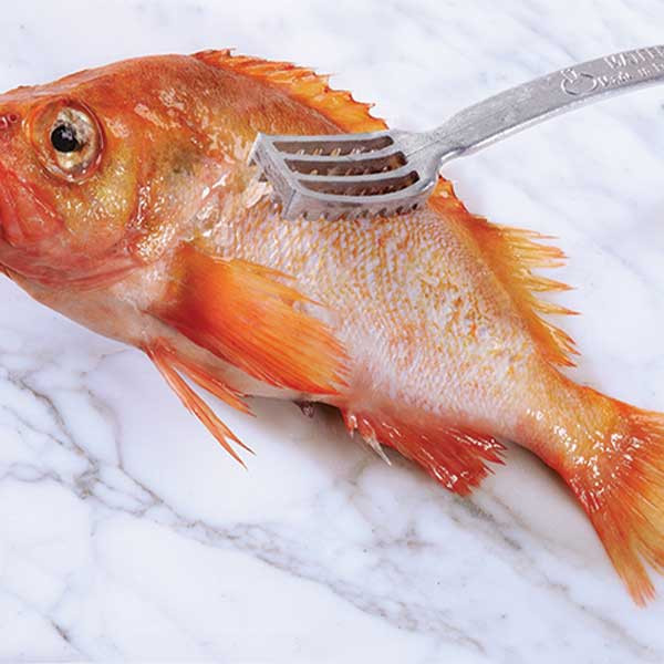 Matfer Bourgeat 121100 Aluminum One-Piece Fish Scaler