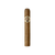 Avo XO Legato  single Box of 20 cigars