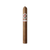 Avo Expressions LE 2024  single Box of 15 cigars