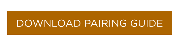 download-pairing-guide-button.png