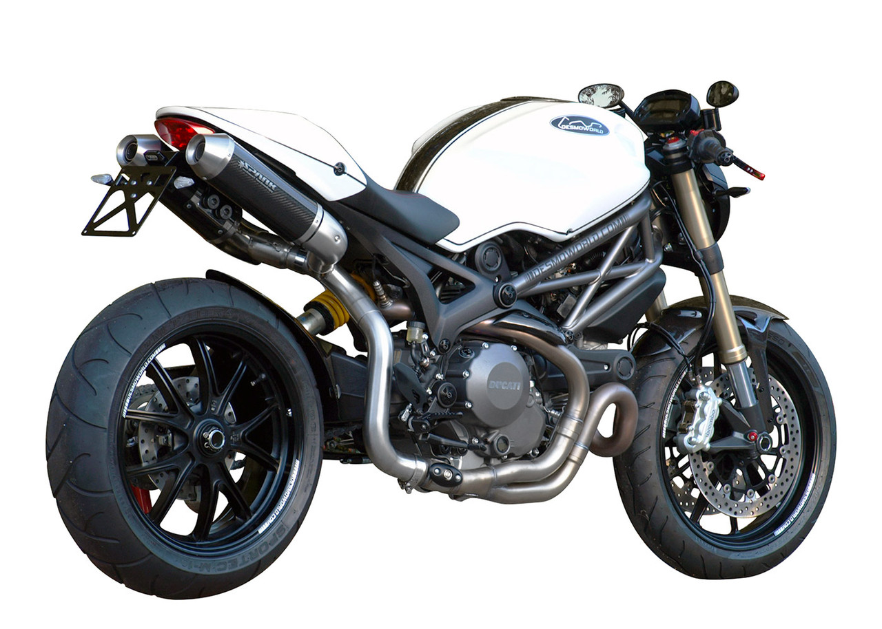 DUCATI MONSTER 1100evo カーボン　エンジンガード