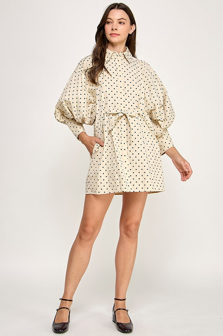 "Jenny" Mini Dress (Polka Dots)