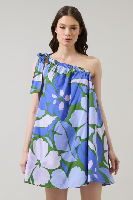 "Diana" Shift Dress (Green/Blue Mix)