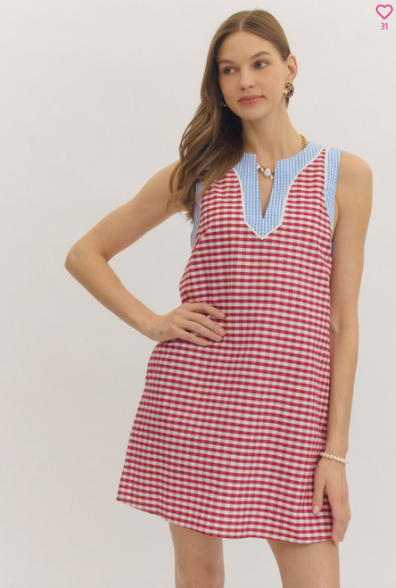 "Edie" Checkered Dress (Red/Blue)