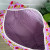 "Holland" Block Print Weekender Bag (Purple)