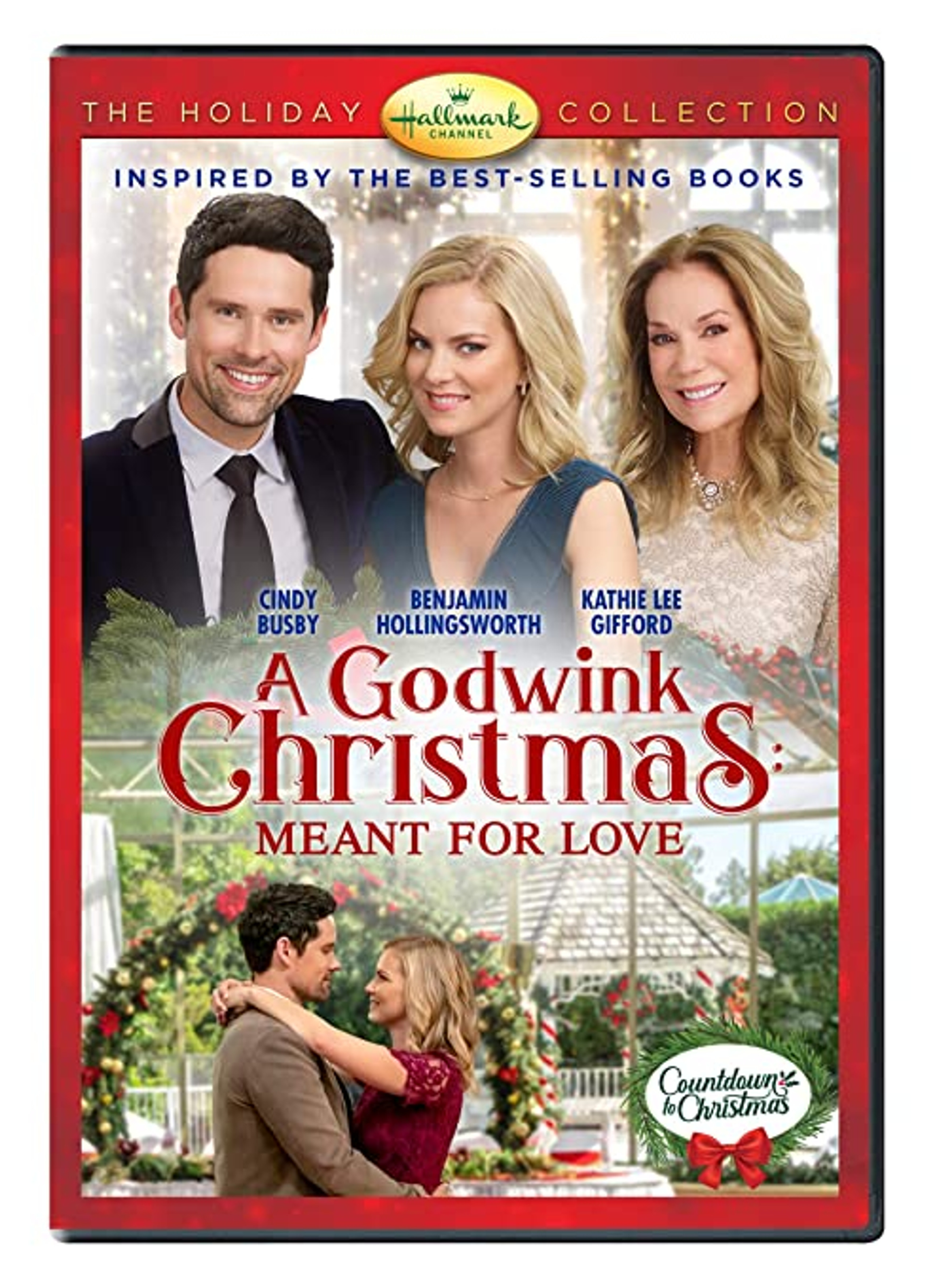 A Godwink Christmas: Miracle of Love (2021) DVD - VIDBUSTERS
