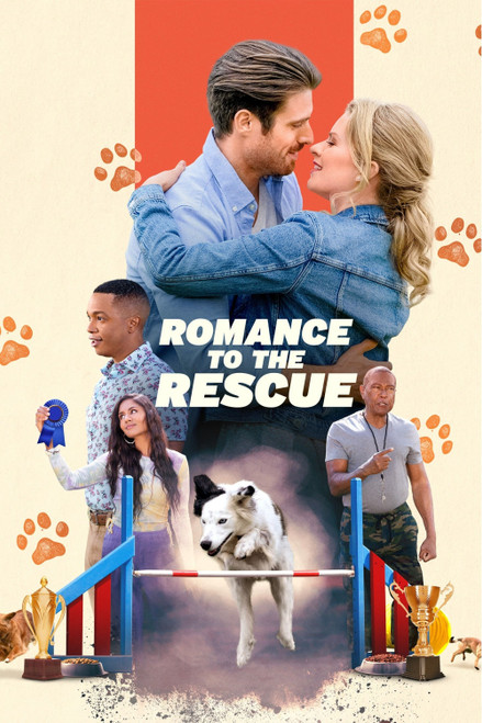 Romance to the Rescue (2022) DVD