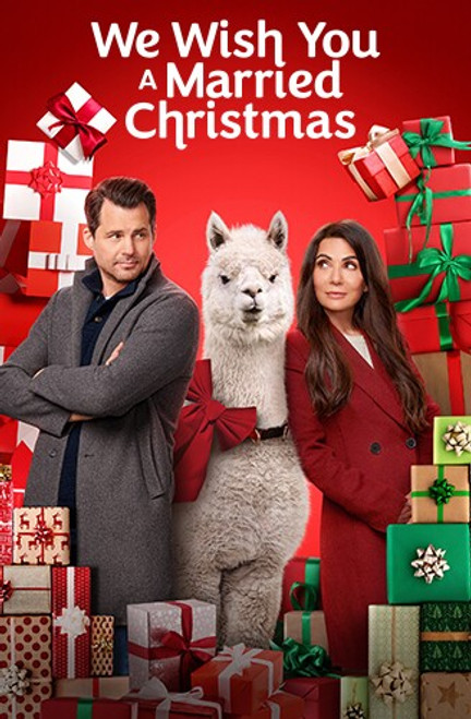 A Merry Christmas Wish (2022) DVD - VIDBUSTERS