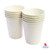 Disposable Paper Cup 7oz - Pack of 50's