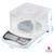 Precision Electronic scale 1kg (GX598B)