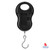 Portable Electronic Luggage Scale 50kg (PES)