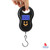 Portable Electronic Luggage Scale 50kg (PES)