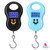 Portable Electronic Luggage Scale 50kg (PES)