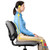 FELLOWES Professional Series Ultimate Back Support (8041801)