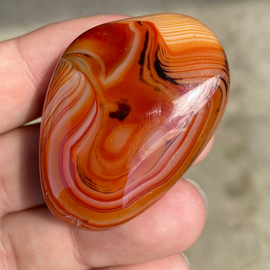 Banded Mad River Agate/ Sardonyx Palmstone