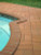 Monte Red externally laid