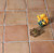 Sierra Natural handmade Terracotta  Sample Piece