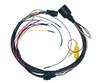 OMC 150hp 175hp Harness 413-4221