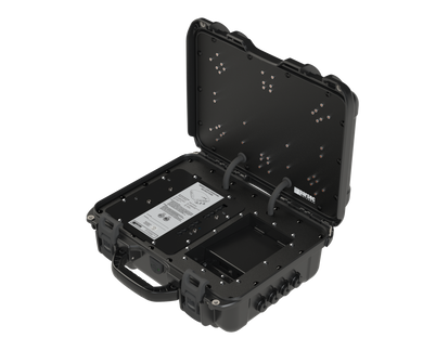 Parsec Bernese Mountain Dog Series