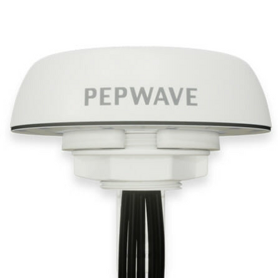 Peplink ANT-MB-02-Q-W-1 Mobility 02 Antenna